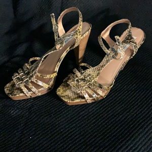 Steve Madden P-Tyler heels.